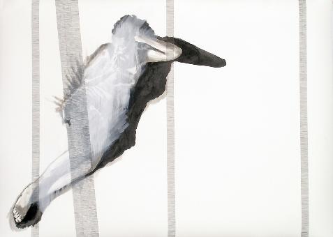 thomas friedrich • #17_03_08